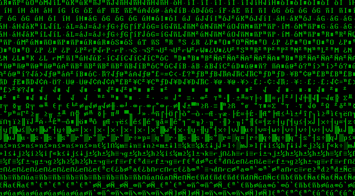 Garbled terminal output screenshot